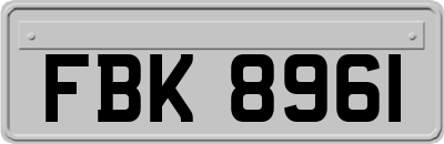 FBK8961