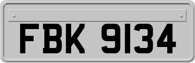 FBK9134