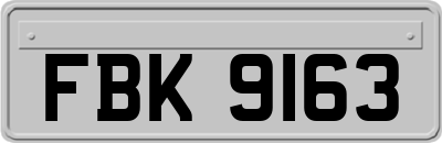 FBK9163