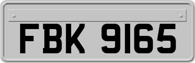 FBK9165