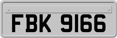 FBK9166