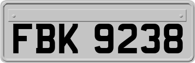 FBK9238