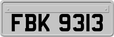 FBK9313