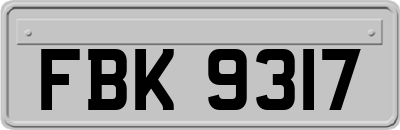 FBK9317