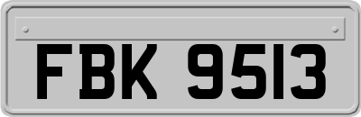 FBK9513