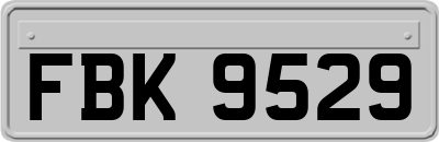 FBK9529