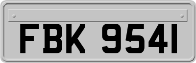 FBK9541
