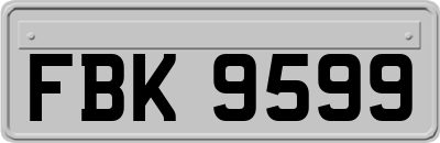 FBK9599