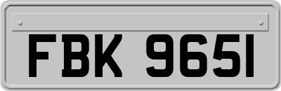FBK9651