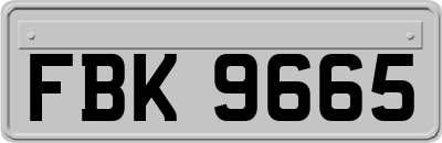 FBK9665