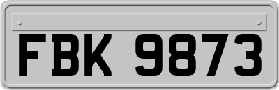 FBK9873