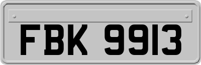 FBK9913