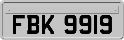 FBK9919