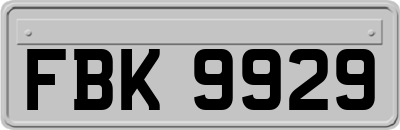 FBK9929