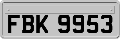 FBK9953