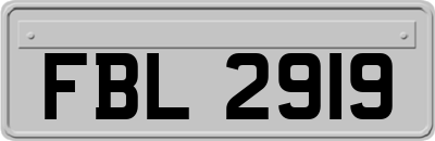 FBL2919