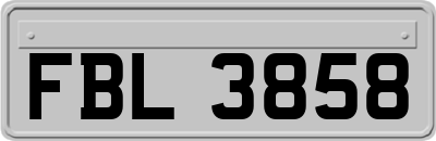 FBL3858