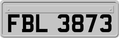 FBL3873