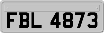 FBL4873