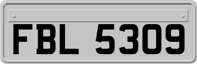 FBL5309