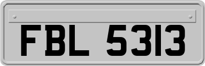 FBL5313