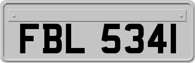 FBL5341