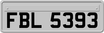 FBL5393