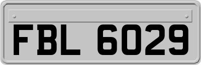 FBL6029