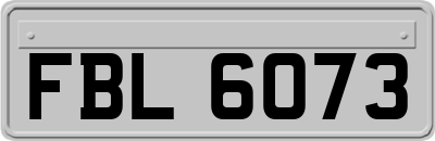 FBL6073