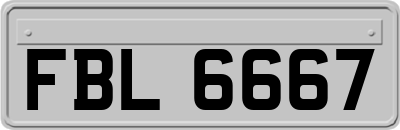 FBL6667