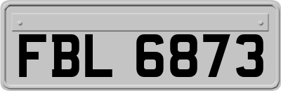 FBL6873