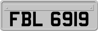 FBL6919