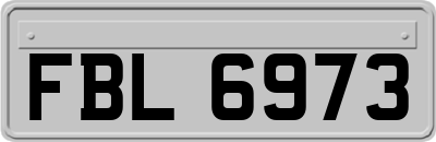 FBL6973