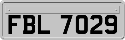 FBL7029