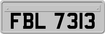 FBL7313