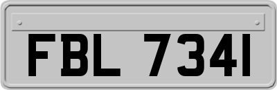FBL7341