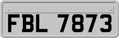 FBL7873