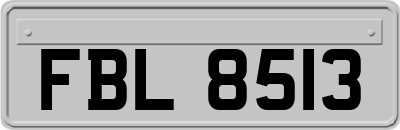 FBL8513