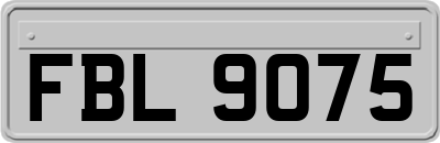 FBL9075