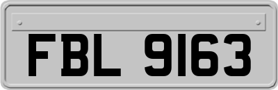 FBL9163