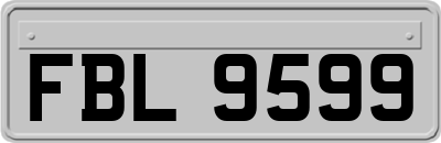 FBL9599