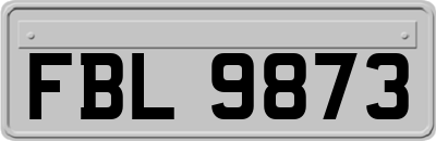 FBL9873