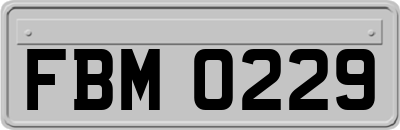 FBM0229