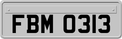 FBM0313