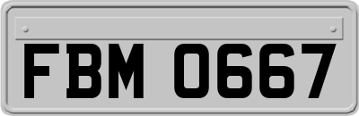 FBM0667