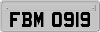 FBM0919
