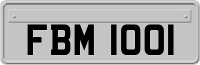 FBM1001