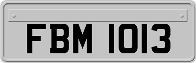 FBM1013