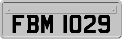 FBM1029