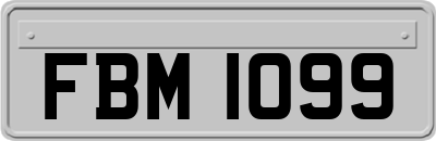 FBM1099